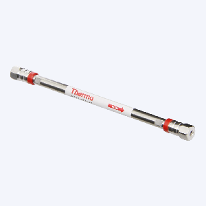 Hypersil ODS-2 HPLC Kolon, 80 Å, 5 µm, 4.6 mm x 250 mm, 1/pk